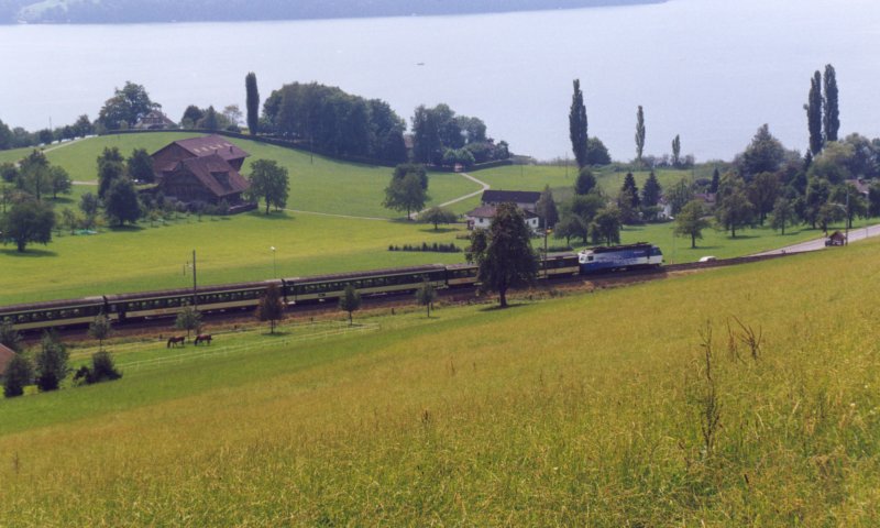 800 - 2-03 - Merlischachen ved Luzern - Aug 1999.jpg