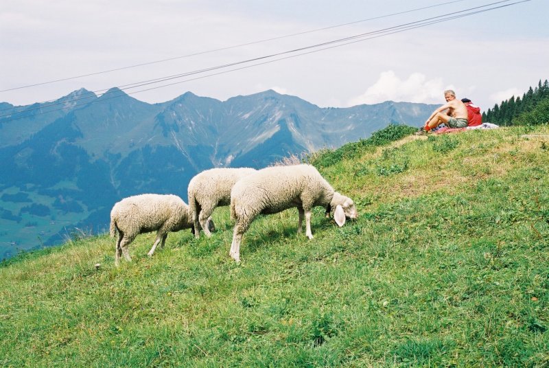 800 - 3-21 - 20-08-2003 - Bludenz.jpg