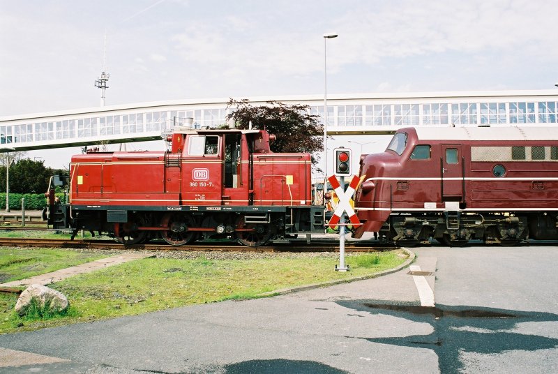 24-03-03 - 1-11 - Fugleflugtlinien 40 aar, Puttgarden.JPG