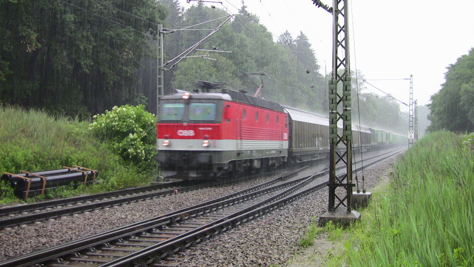 063 - 2008-06-07 - Grosskarolinenfeld - IMG_1656.jpg