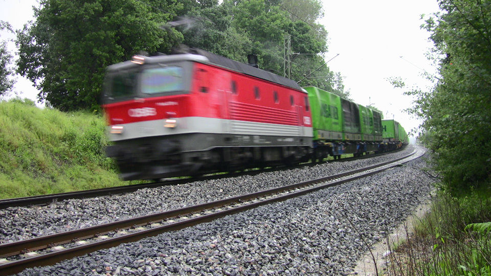 081 - 2008-06-07 - Grosskarolinenfeld - IMG_1674.jpg