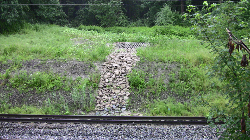 085 - 2008-06-07 - Grosskarolinenfeld - IMG_1678.jpg