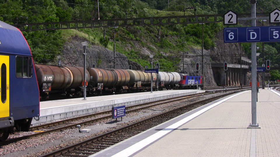 469 - 2008-06-10 - Ziegelbruecke - IMG_2062.jpg