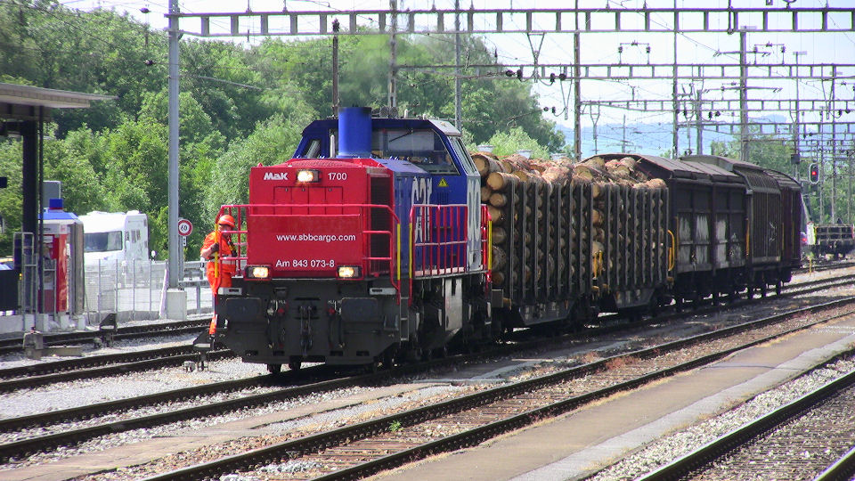 484 - 2008-06-10 - Ziegelbruecke - IMG_2077.jpg