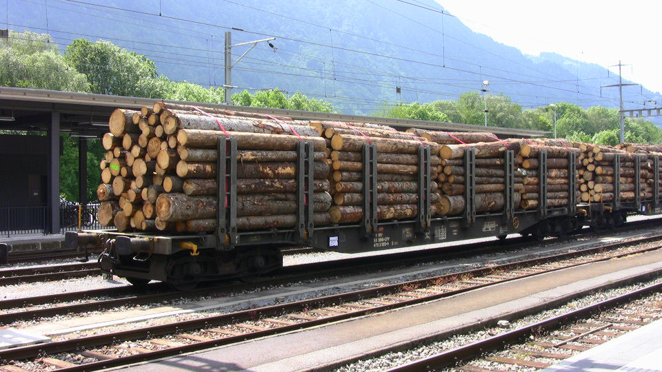 488 - 2008-06-10 - Ziegelbruecke - IMG_2081.jpg