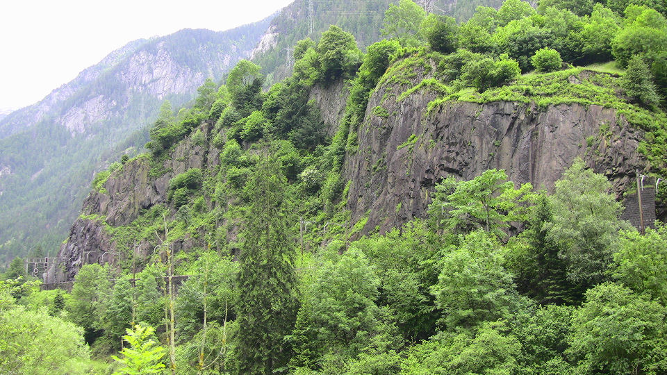 524 - 2008-06-11 - Nord for Gurtnellen - IMG_2117.jpg