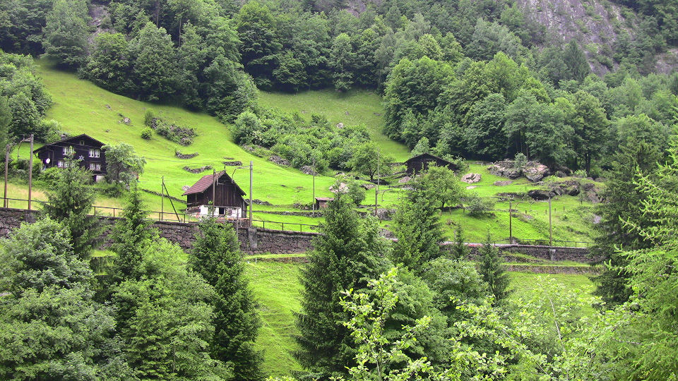 525 - 2008-06-11 - Nord for Gurtnellen - IMG_2118.jpg