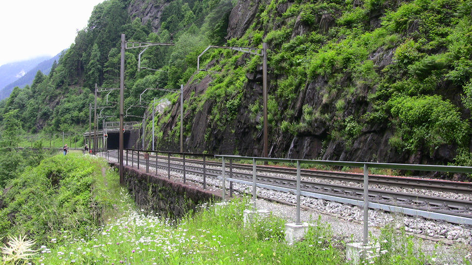 539 - 2008-06-11 - Nord for Gurtnellen - IMG_2132.jpg