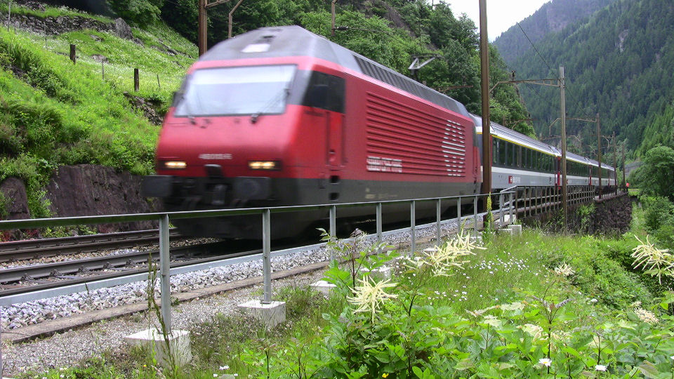 540 - 2008-06-11 - Nord for Gurtnellen - IMG_2133.jpg