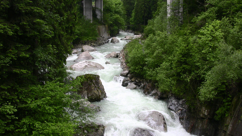 551 - 2008-06-11 - Nord for Gurtnellen - IMG_2144.jpg