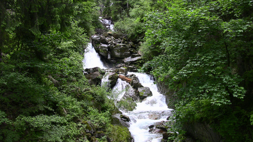 555 - 2008-06-11 - Nord for Gurtnellen - IMG_2148.jpg