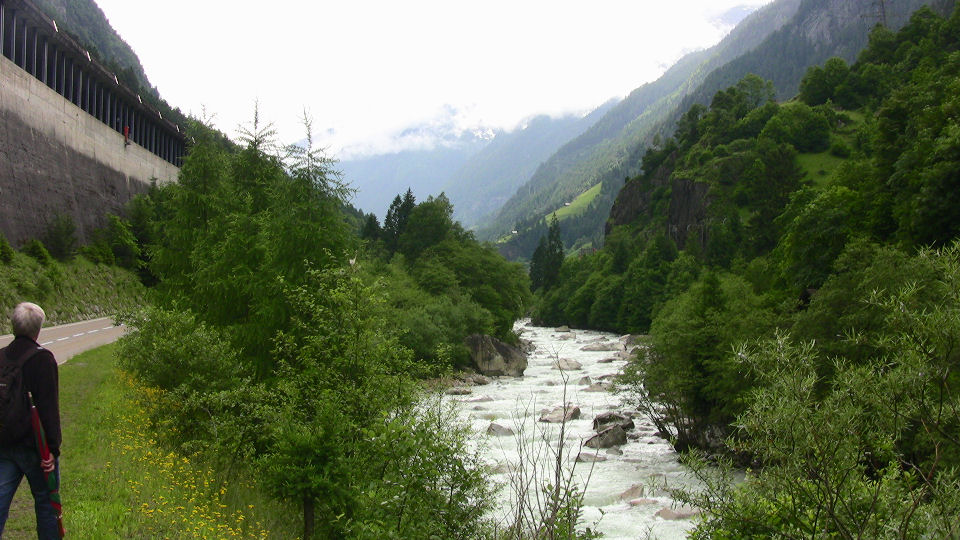 580 - 2008-06-11 - Nord for Gurtnellen - IMG_2173.jpg