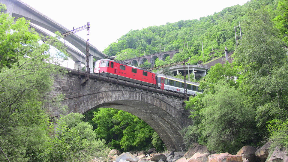 730 - 2008-06-12 - Biascina - IMG_2323.jpg