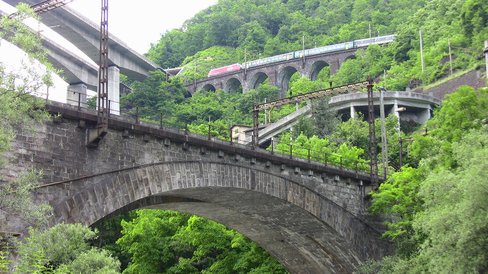 732 - 2008-06-12 - Biascina - IMG_2325.jpg