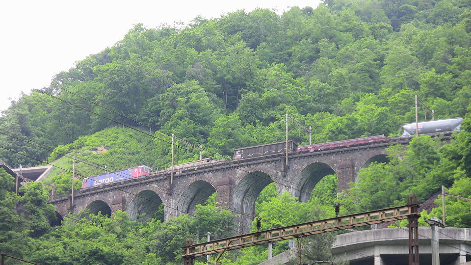 736 - 2008-06-12 - Biascina - IMG_2329.jpg