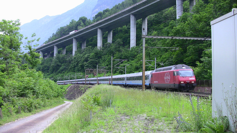 739 - 2008-06-12 - Biascina - IMG_2332.jpg