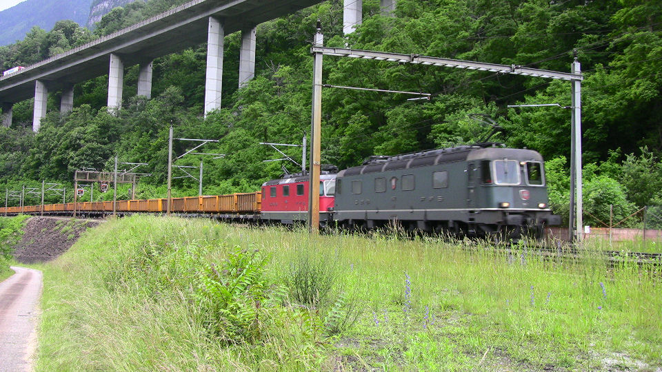 741 - 2008-06-12 - Biascina - IMG_2334.jpg