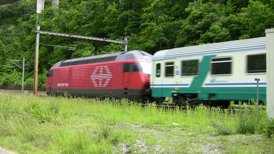 742 - 2008-06-12 - Biascina - IMG_2335.jpg