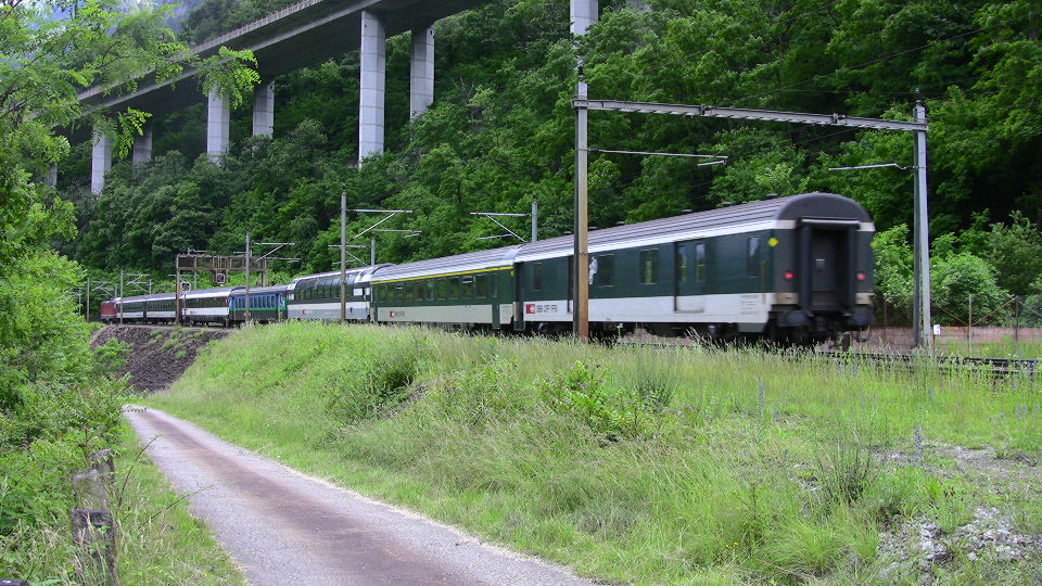 745 - 2008-06-12 - Biascina - IMG_2338.jpg