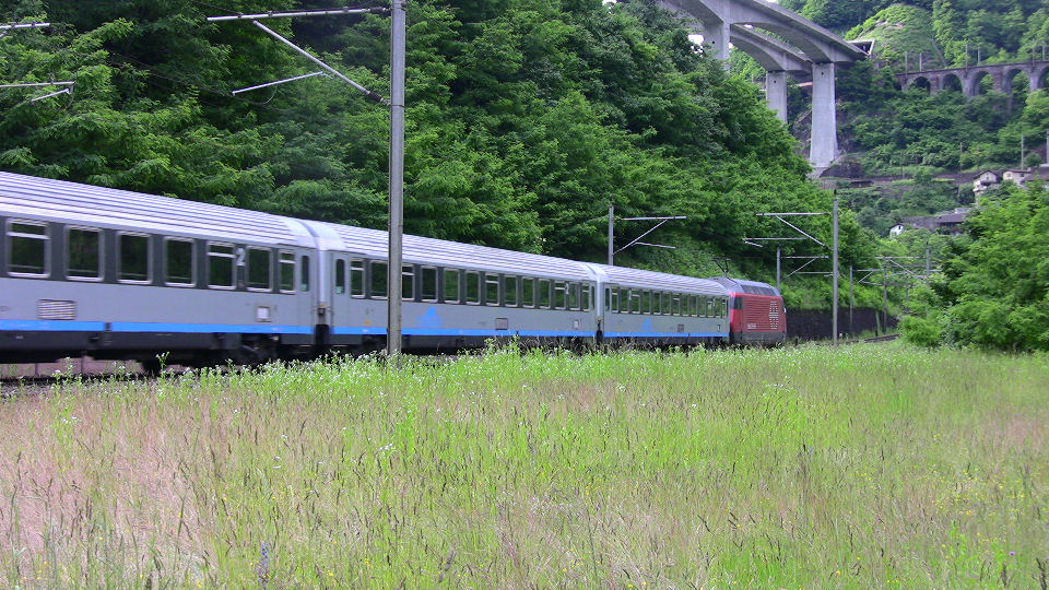 746 - 2008-06-12 - Biascina - IMG_2339.jpg