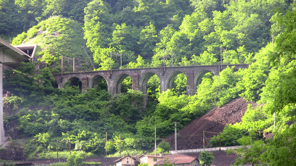 749 - 2008-06-12 - Biascina - IMG_2342.jpg