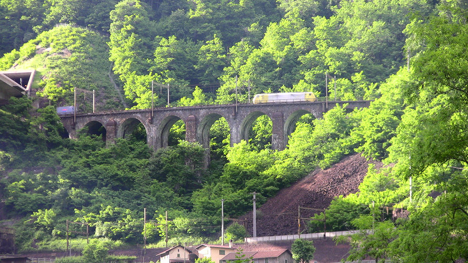 750 - 2008-06-12 - Biascina - IMG_2343.jpg