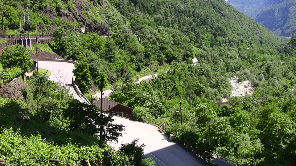 833 - 2008-06-13 - Biascina - IMG_2426.jpg