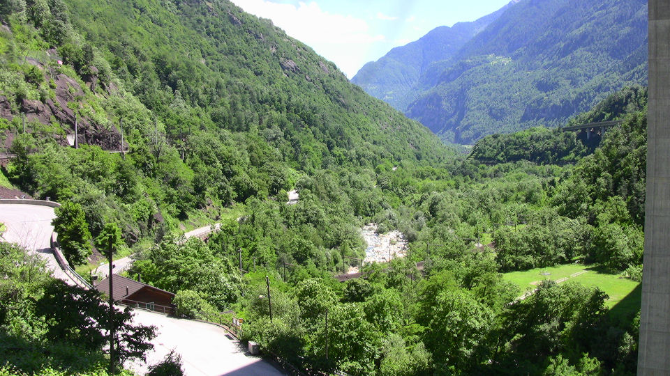 835 - 2008-06-13 - Biascina - IMG_2428.jpg