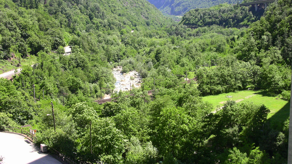 836 - 2008-06-13 - Biascina - IMG_2429.jpg