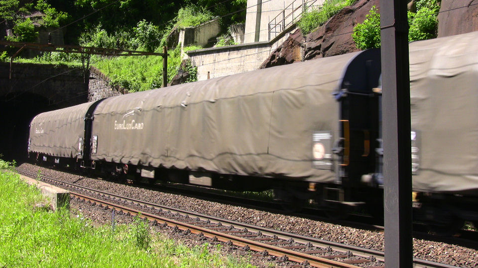 841 - 2008-06-13 - Biascina - IMG_2434.jpg