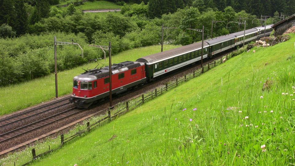 892 - 2008-06-14 - Syd forGurtnellen - IMG_2485.jpg