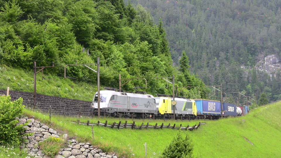 917 - 2008-06-14 - Wattingen - IMG_2510.jpg