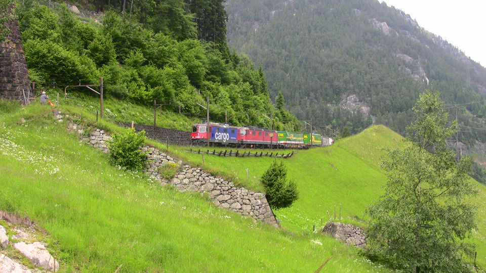 919 - 2008-06-14 - Wattingen - IMG_2512.jpg