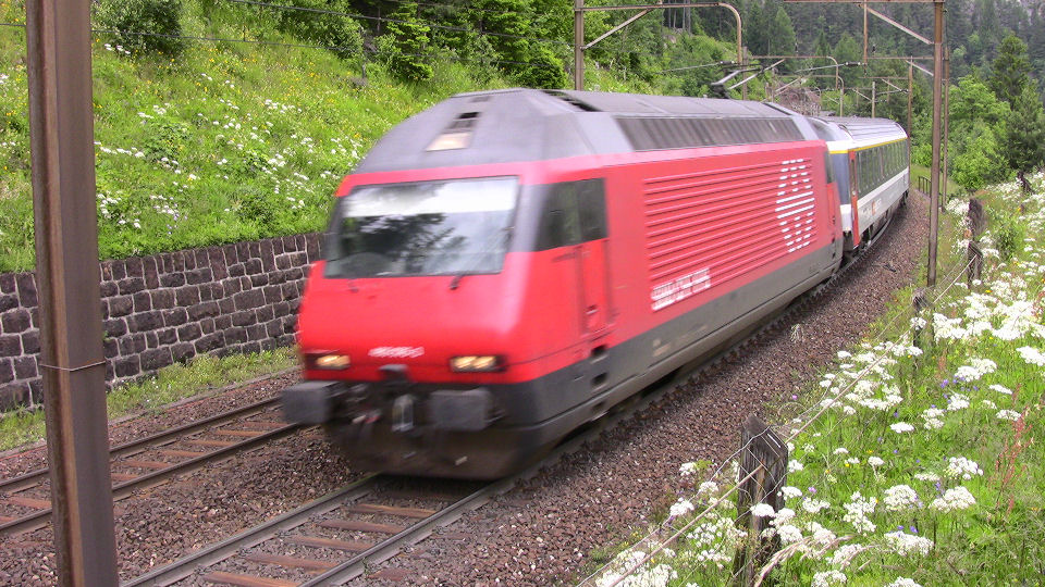 920 - 2008-06-14 - Wattingen - IMG_2513.jpg