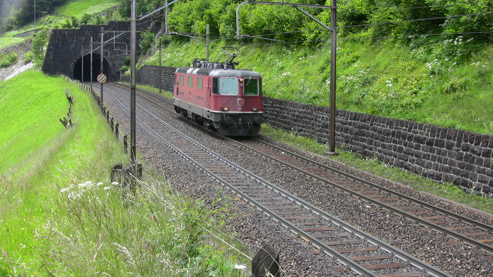 922 - 2008-06-14 - Wattingen - IMG_2515.jpg