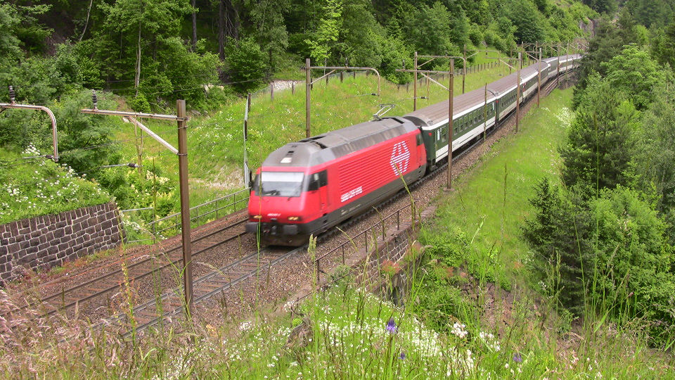 924 - 2008-06-14 - Wattingen - IMG_2517.jpg