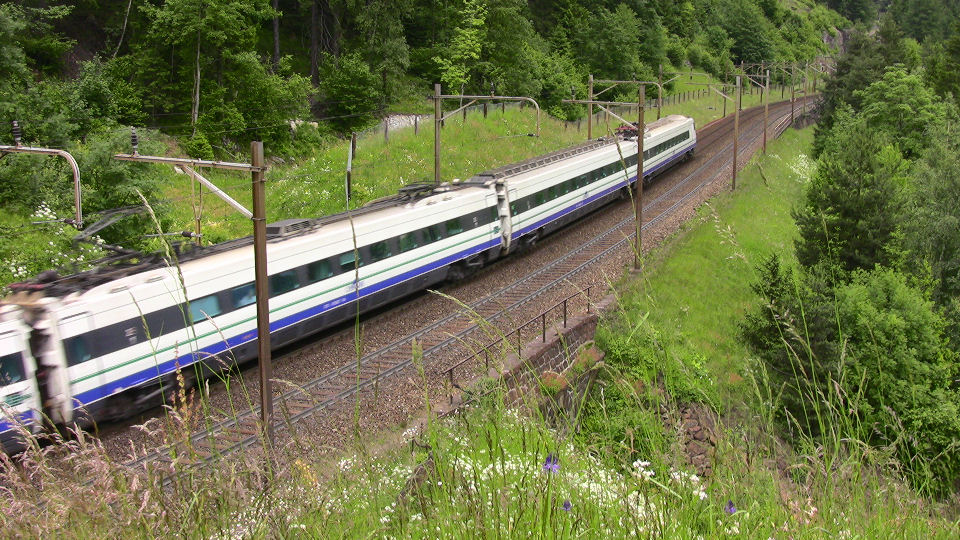 925 - 2008-06-14 - Wattingen - IMG_2518.jpg