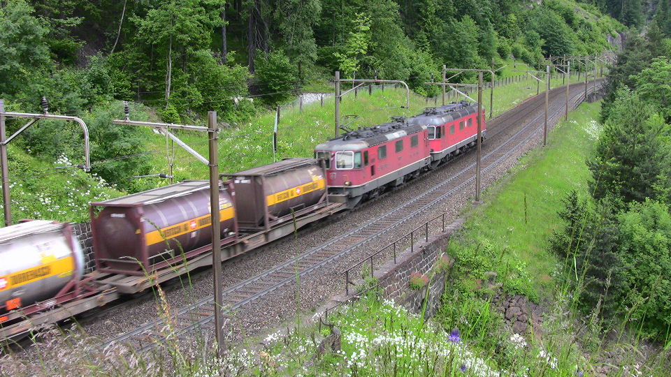 930 - 2008-06-14 - Wattingen - IMG_2523.jpg