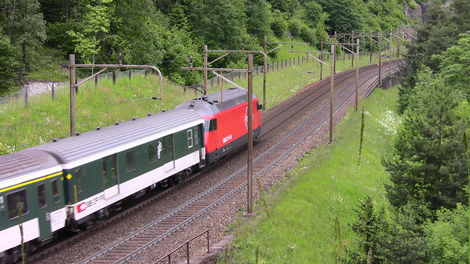 932 - 2008-06-14 - Wattingen - IMG_2525.jpg