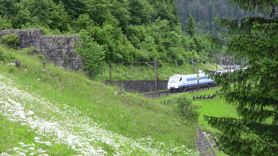 934 - 2008-06-14 - Wattingen - IMG_2527.jpg