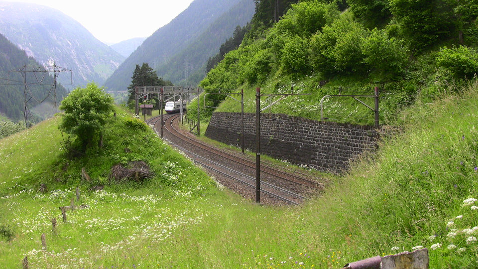 935 - 2008-06-14 - Wattingen - IMG_2528.jpg