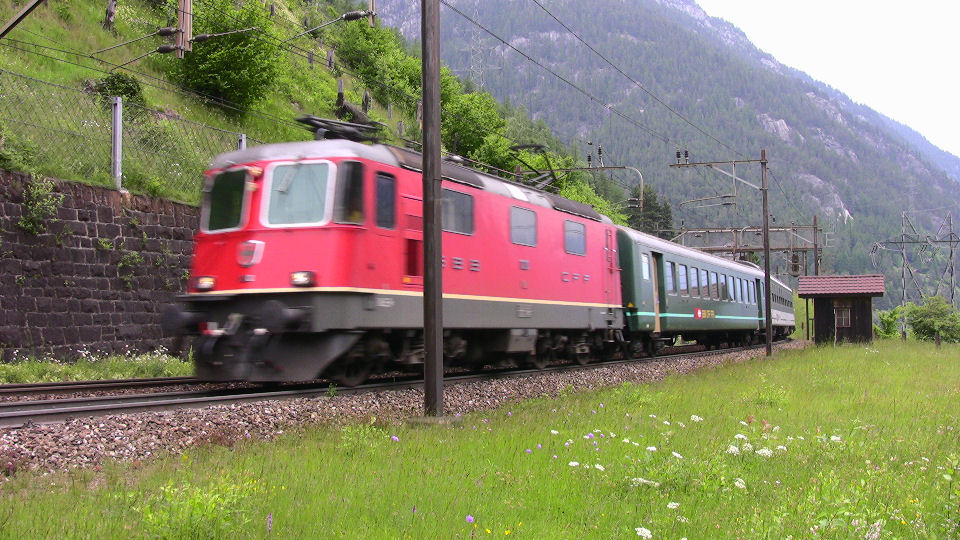 939 - 2008-06-14 - Wattingen - IMG_2532.jpg