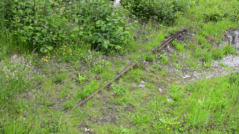 943 - 2008-06-14 - Bf. Wassen - IMG_2536.jpg