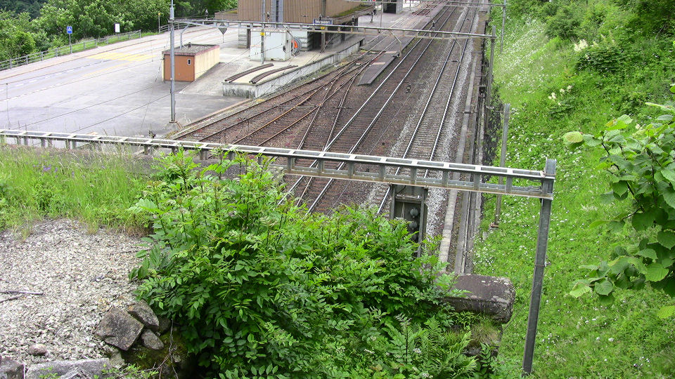 947 - 2008-06-14 - Bf. Wassen - IMG_2540.jpg