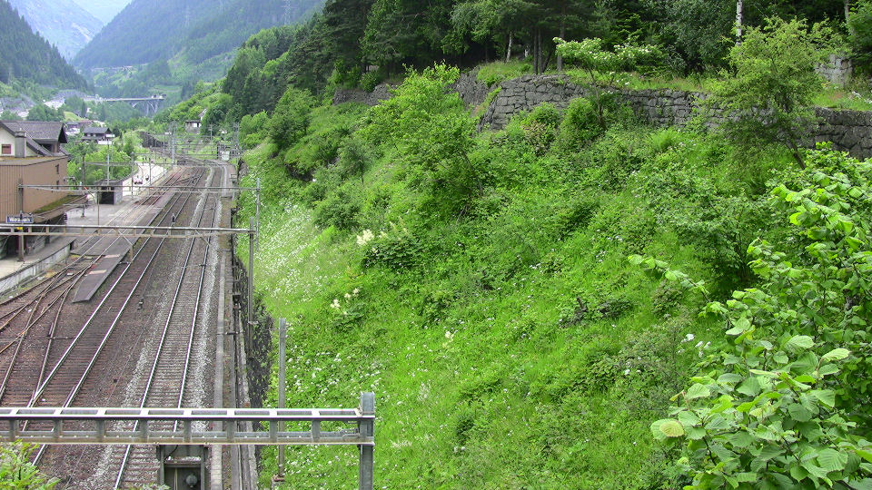 948 - 2008-06-14 - Bf. Wassen - IMG_2541.jpg