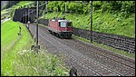 922 - 2008-06-14 - Wattingen - IMG_2515.jpg