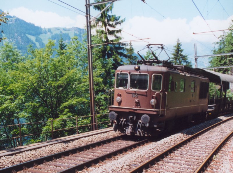 800 - 29-06-01 6-09 Blausee-Mitholz 28.jpg