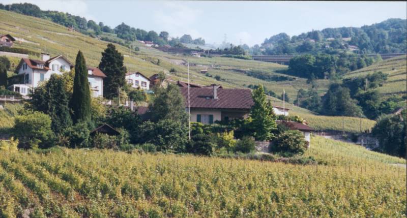 16-6-2002 1-16 Lausanne, Culli 21.jpg
