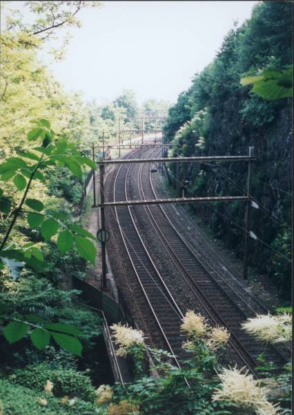 19-6-2002 3-36 Bellinzona-Lugano 01A.jpg