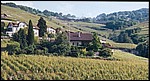 16-6-2002 1-16 Lausanne, Culli 21.jpg